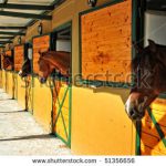 Pegasus Marine Finance | Business-horsebox-finance