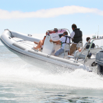 pmf-rib-500px
