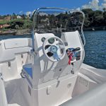 pmf-rib2