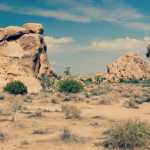 Joshua Tree – Caravan Camping