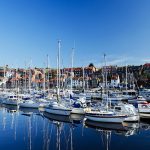 beach with boats