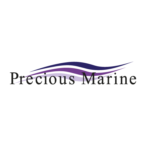 Pegasus Marine Finance | Precious Marine Pegasus Marine Finance | Precious Marine