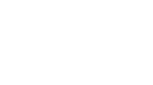 Pegasus Marine Finance | Precious Marine Pegasus Marine Finance | Precious Marine