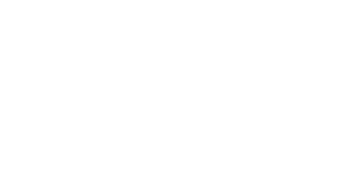 Pegasus Marine Finance | CGI Finance