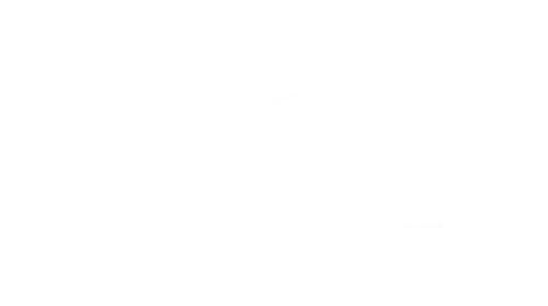 Pegasus Marine Finance | birchall-logo